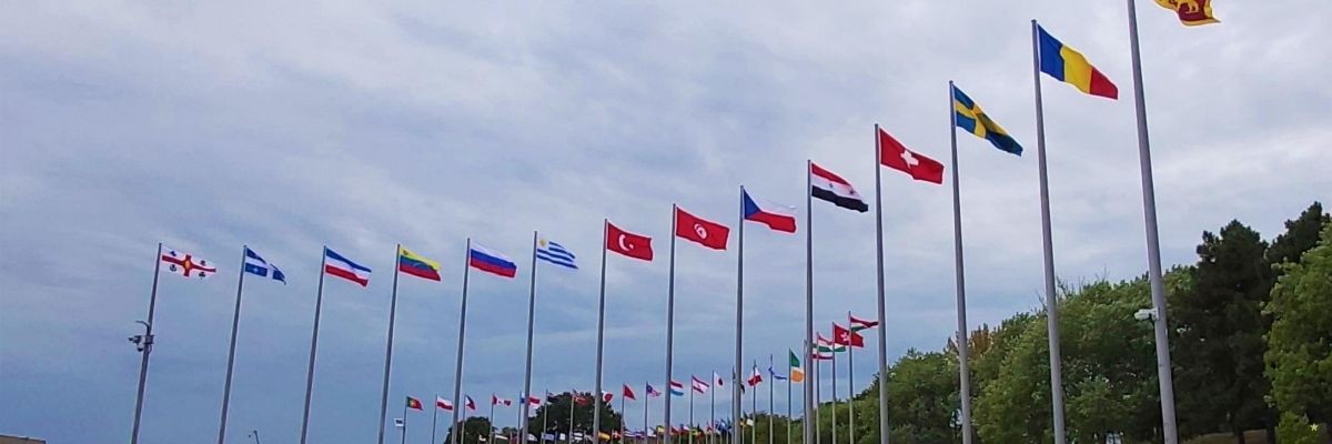 Olimpiyatlardan Güncel Sonuçlar ve Haberler