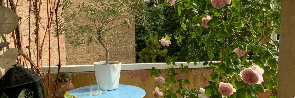 Balkon Tarımı Başlangıç Rehberi